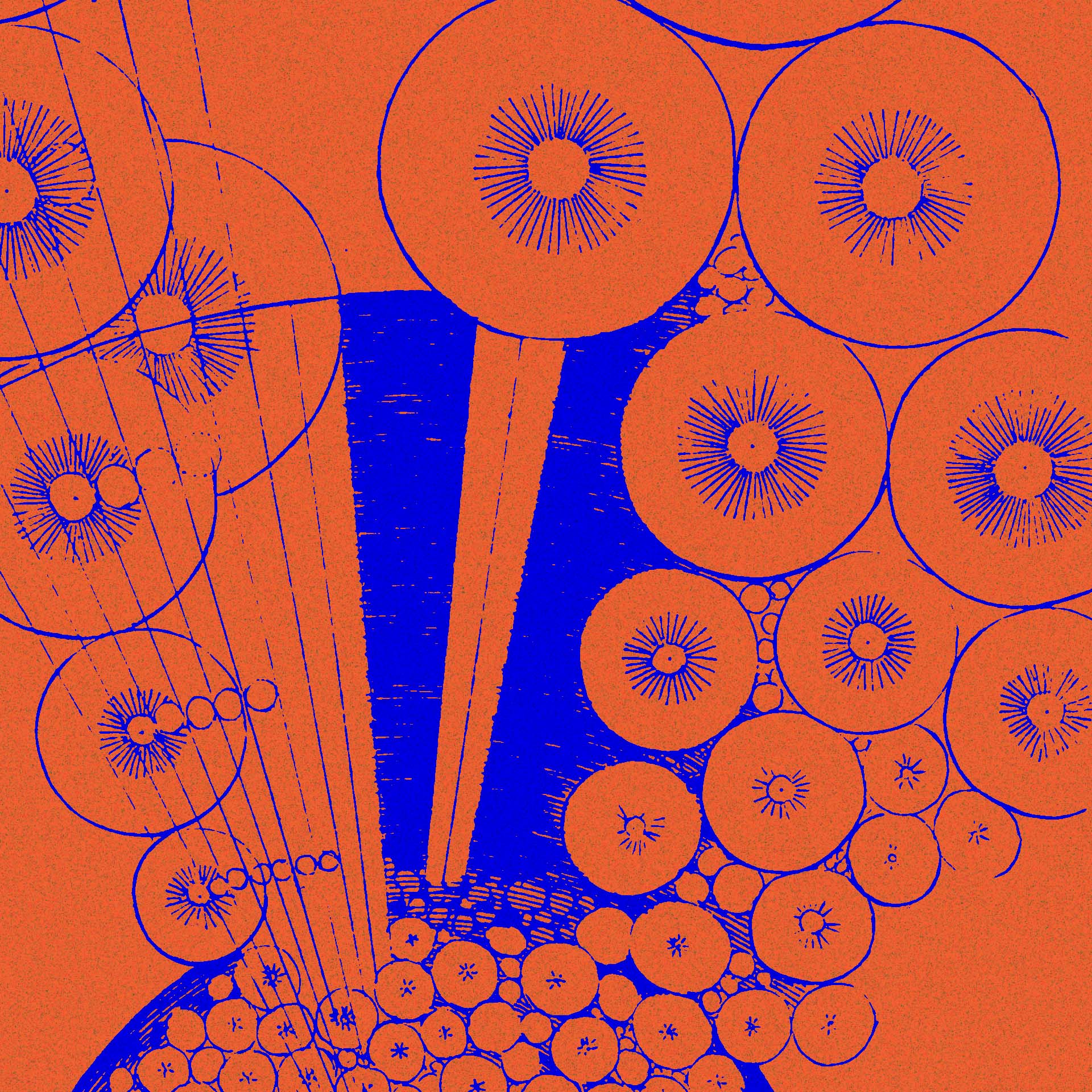 cosa è la vita - i corsi di Lucy con Telmo Pievani e Enrico Bucci